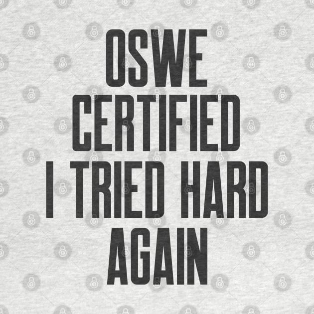 Cybersecurity OSWE Certified I Tried Hard Again by FSEstyle